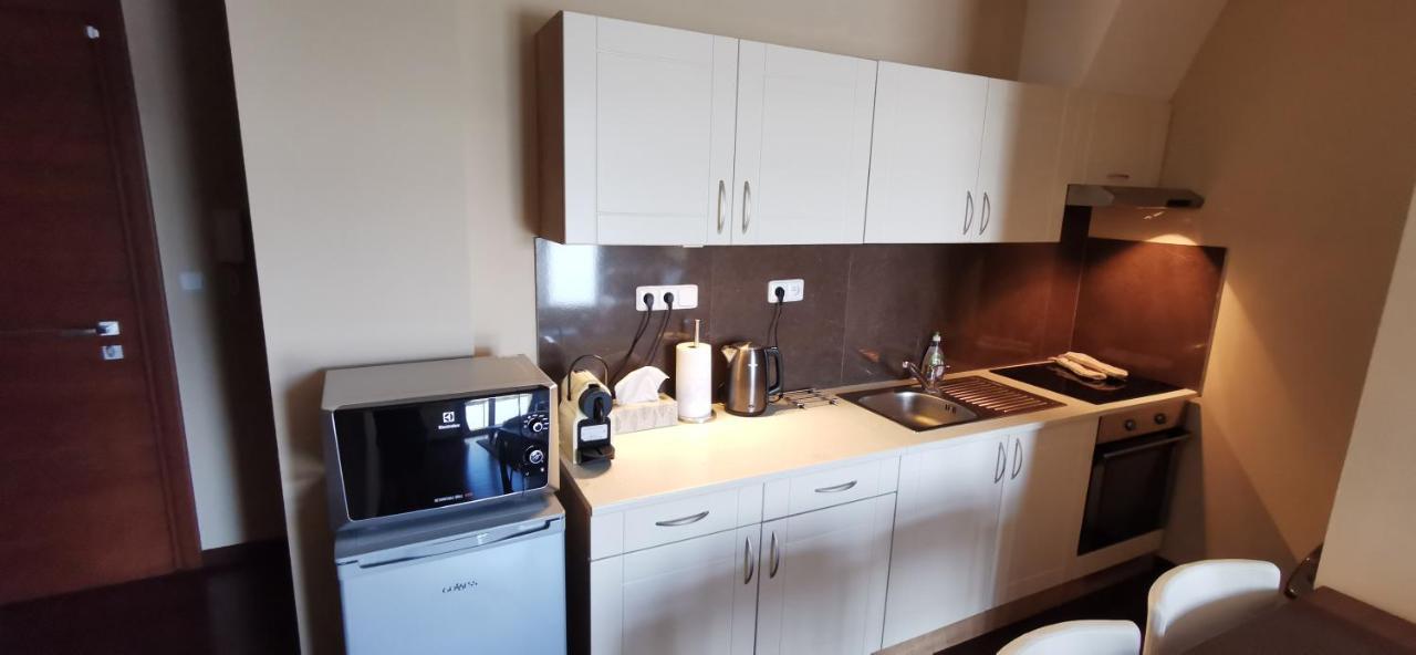 Moser Apartment Carlsbad Karlowe Wary Zewnętrze zdjęcie
