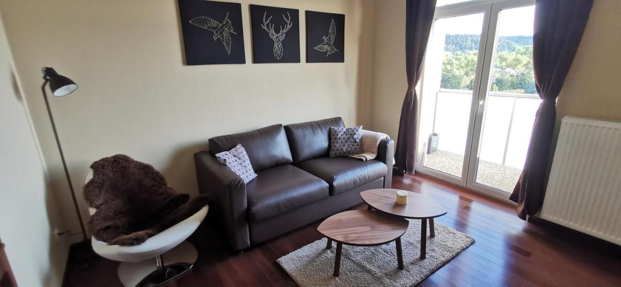 Moser Apartment Carlsbad Karlowe Wary Zewnętrze zdjęcie