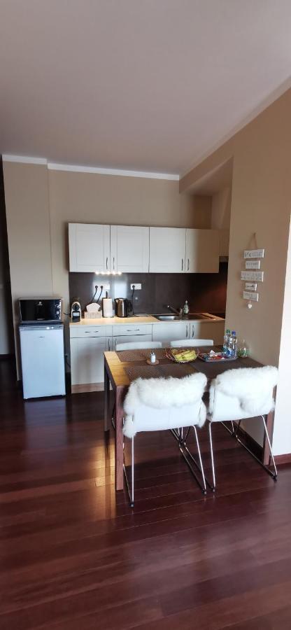 Moser Apartment Carlsbad Karlowe Wary Zewnętrze zdjęcie
