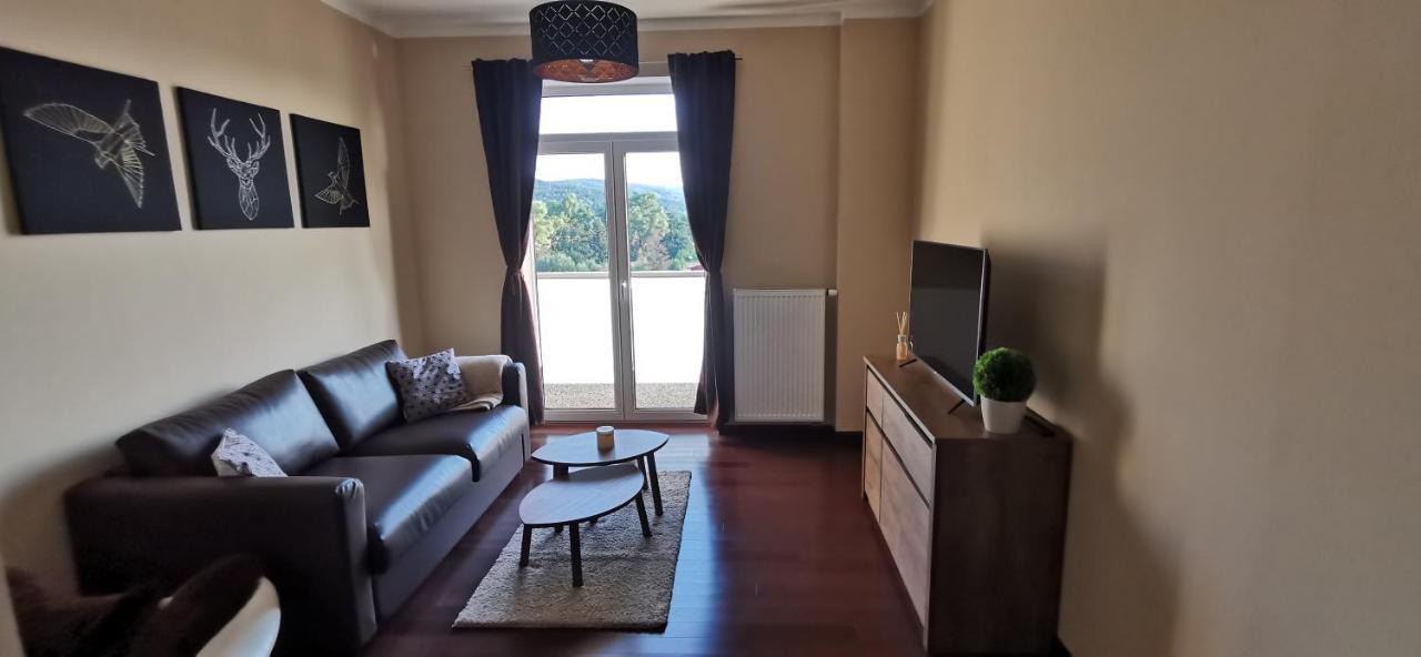 Moser Apartment Carlsbad Karlowe Wary Zewnętrze zdjęcie